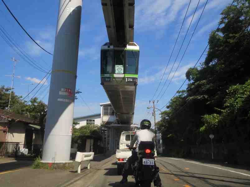 kiiro010.jpg