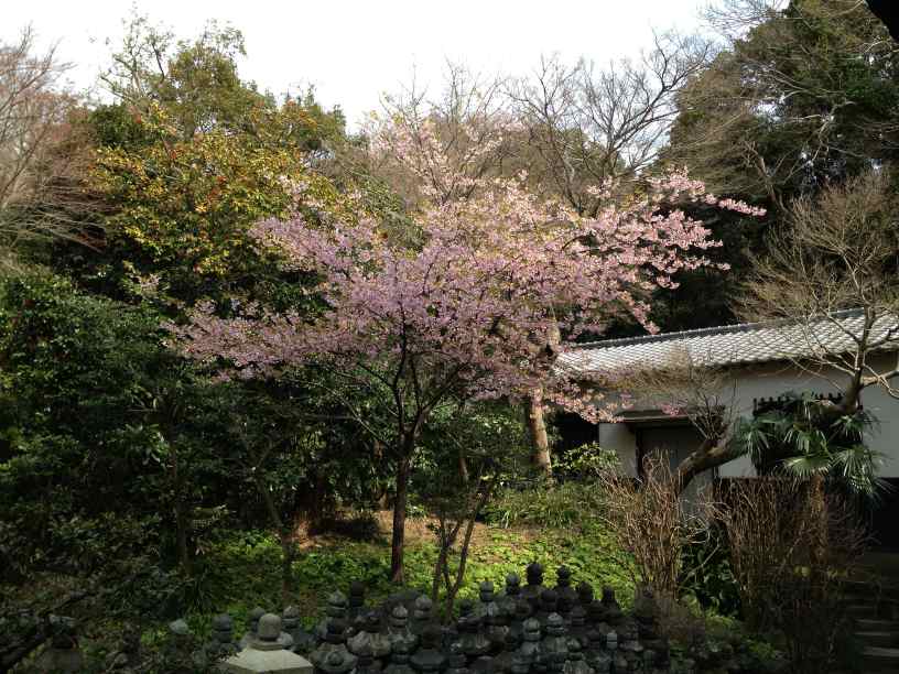 koumyouji003.jpg