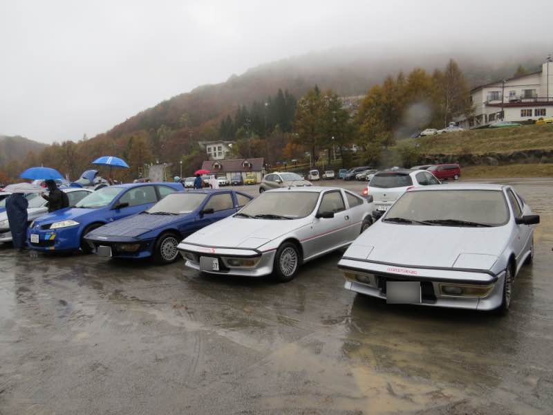 murena605.jpg