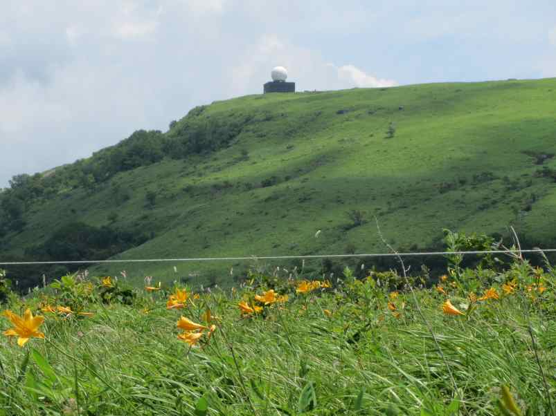 nikoukisuge002.jpg