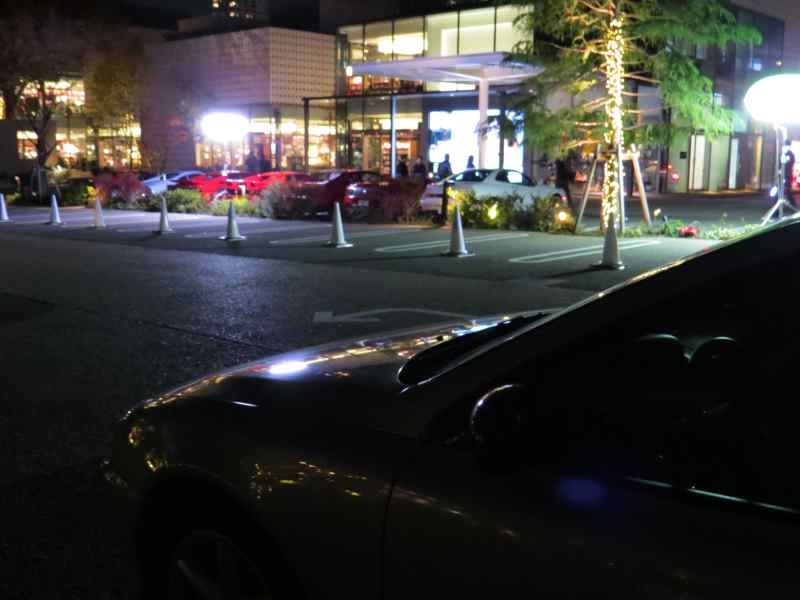 pinin012.jpg