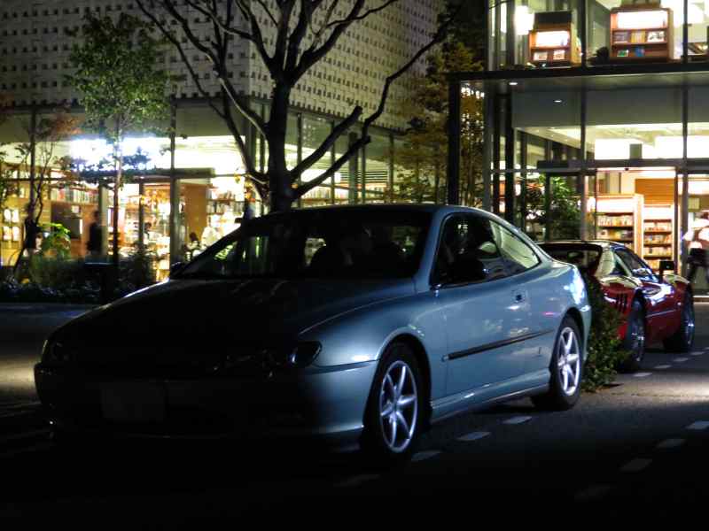 pinin013.jpg