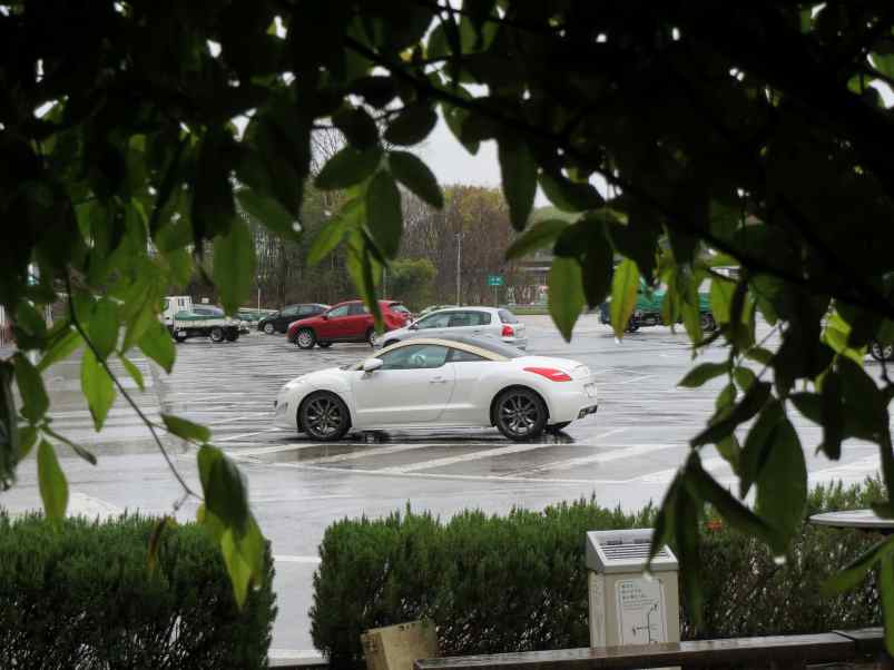 rcz002.jpg