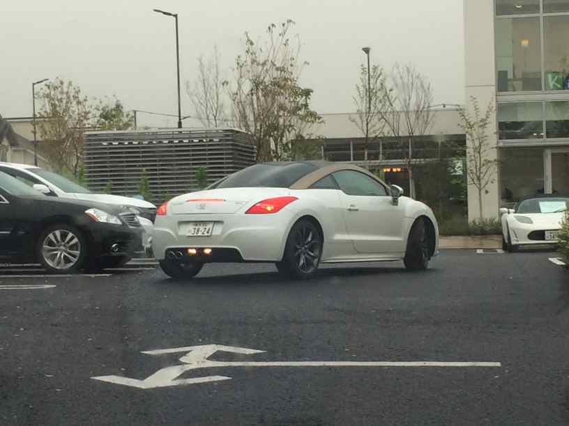 rcz004.jpg