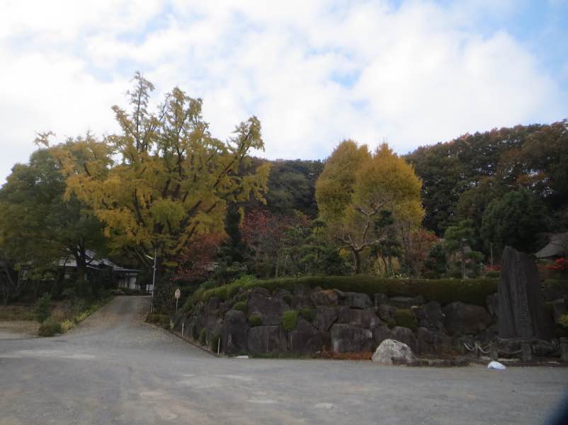 saihouji102.jpg