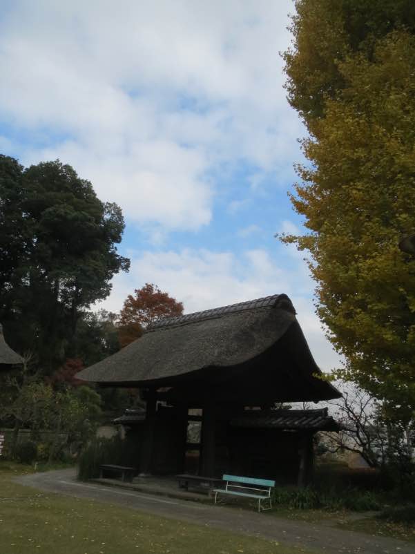 saihouji105.jpg