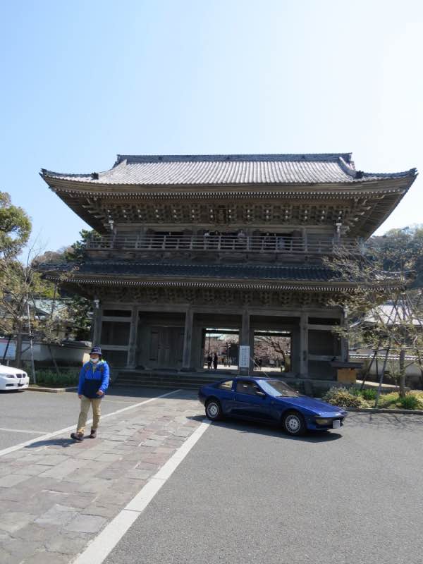 sakurameguri009.jpg