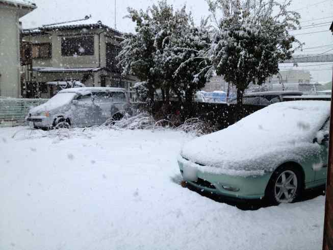 snow201304.jpg