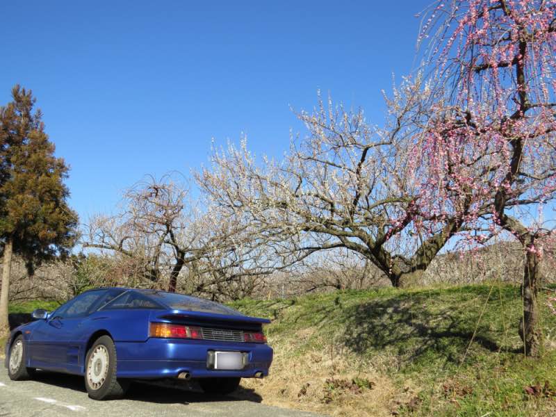 soga002.jpg
