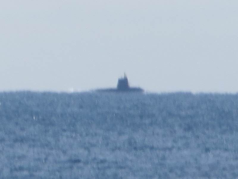 suisen007.jpg