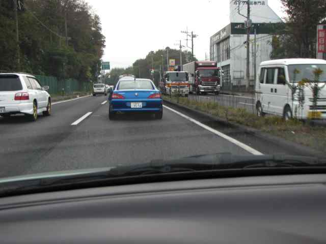 tiba3556.jpg