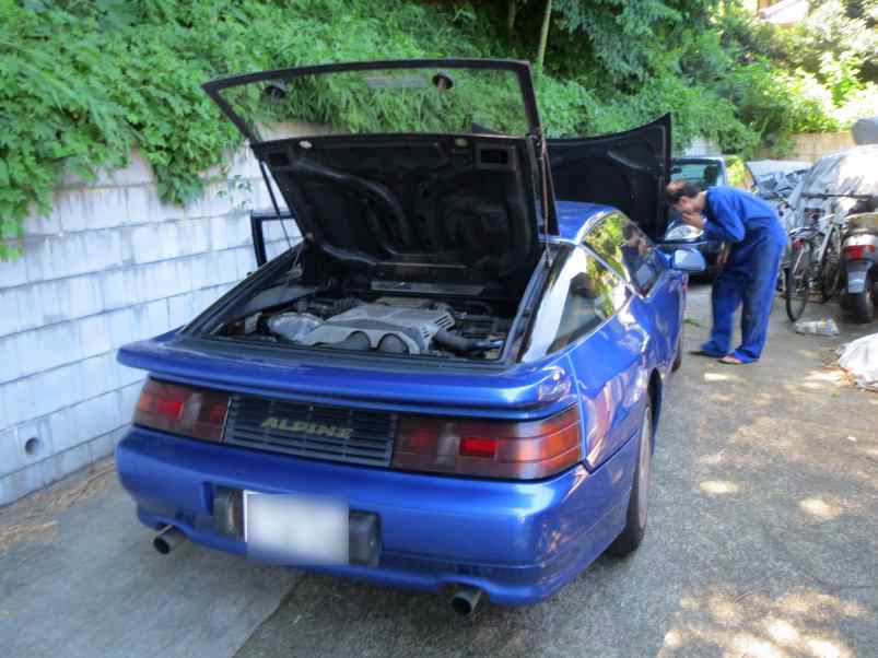 tmsalpine002.jpg