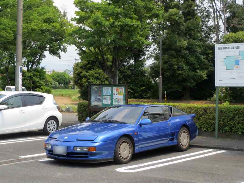 toro001.jpg