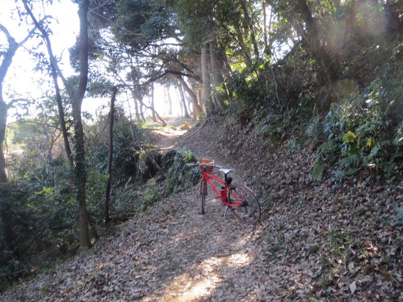 toukaebisu001.jpg