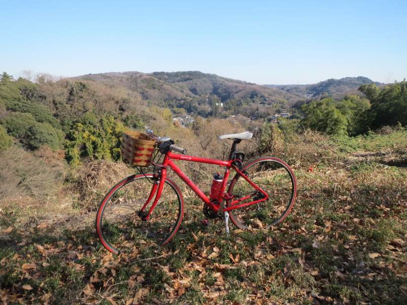 toukaebisu002.jpg