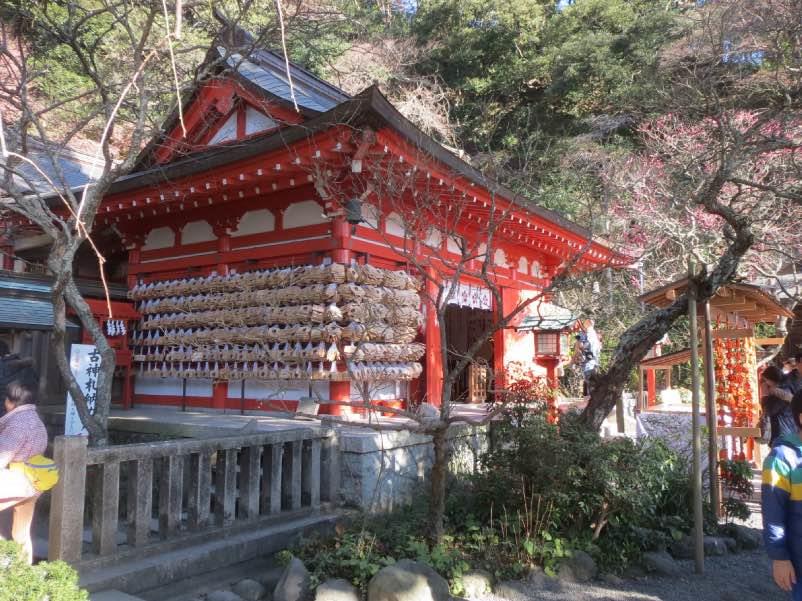 toukaebisu007.jpg