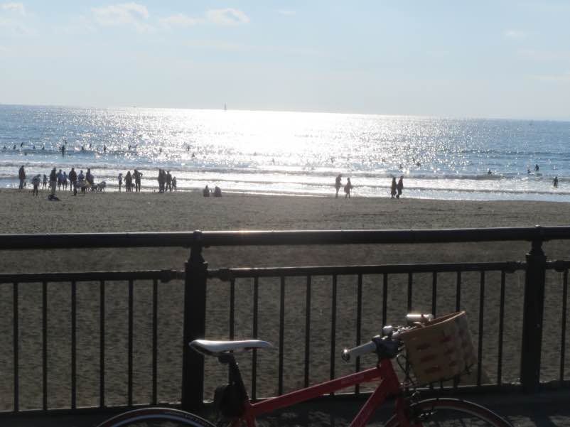 toukaebisu008.jpg