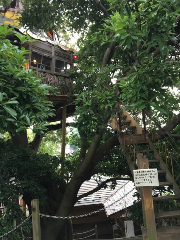 treehause001.jpg