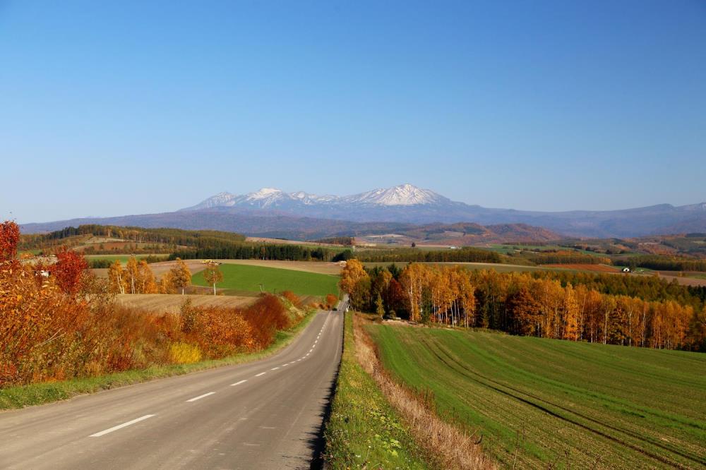 asahikawa_road.jpg
