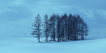 bnr_hokkaido.jpg