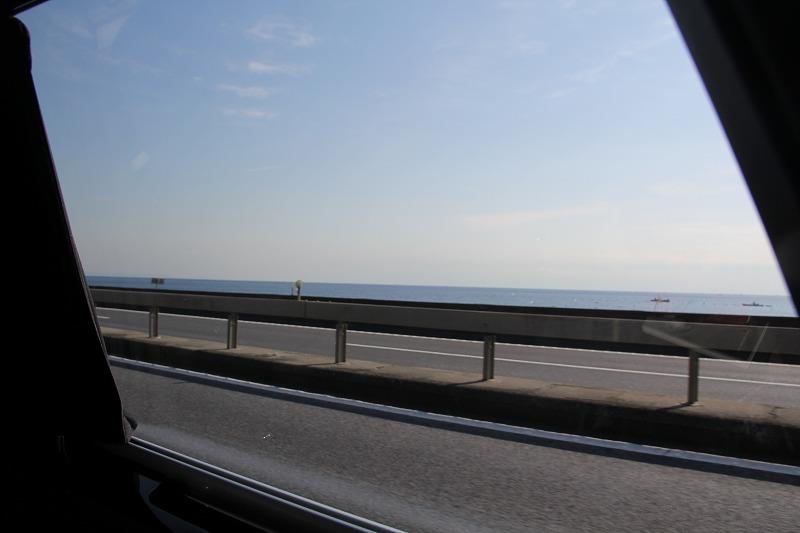 IMG_1555.jpg