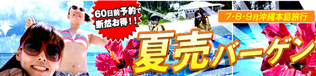 bargain_hontou-a-5.jpg
