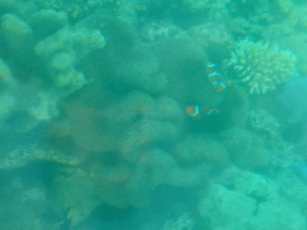 P7170525.jpg