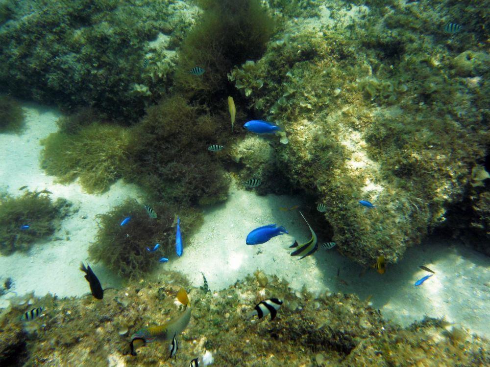 DSCF0420p.jpg