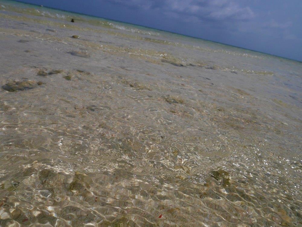 P4660888p.jpg