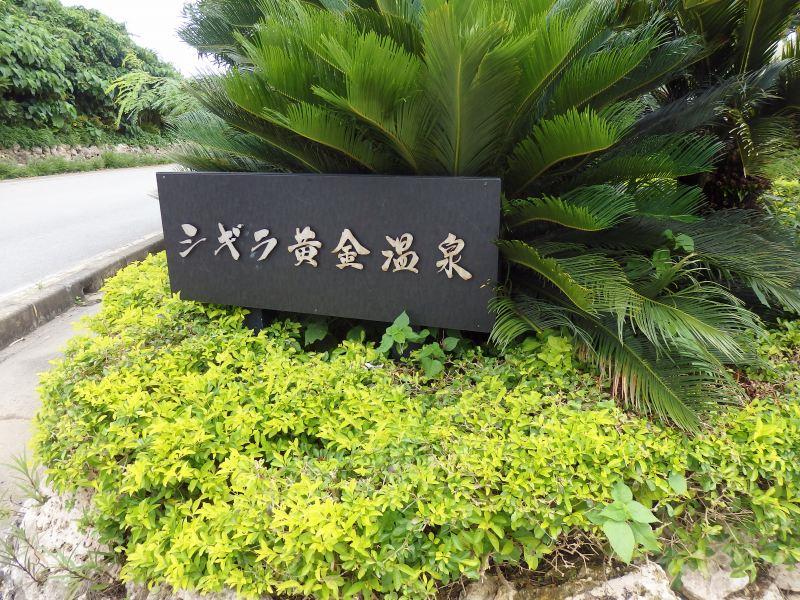P5251409p.jpg