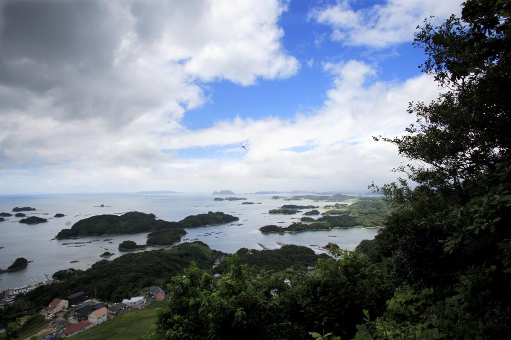 gallery_01781.jpg