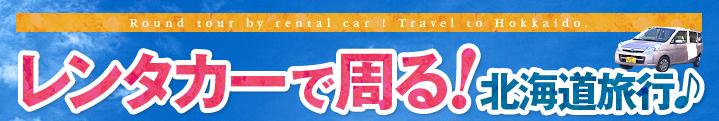 rentcar_hok-11.jpg