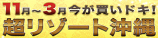 res_oki-13.jpg