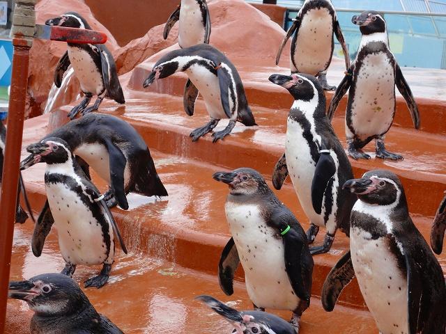 プロフィール2に写真を追加してください。