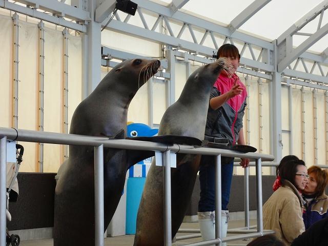 プロフィール3に写真を追加してください。