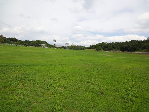 DSC02428.jpg