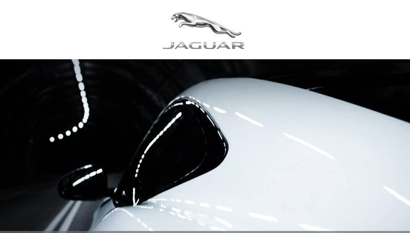 1129jaguar.jpg