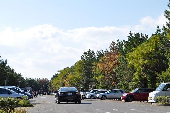 DSC_2783.JPG