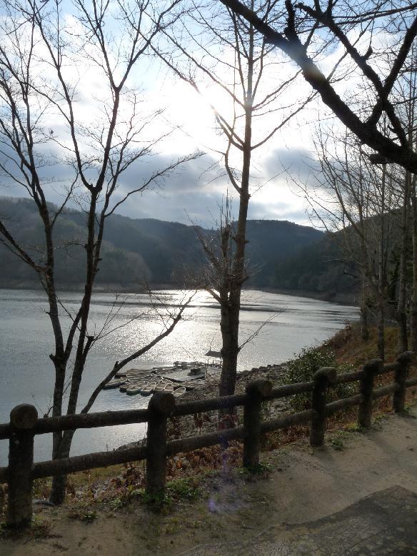 P1150549.JPG