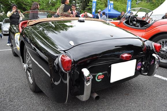 DSC_6265.JPG