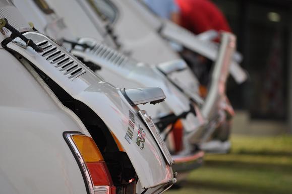 DSC_7550.JPG