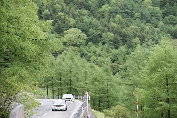 _DSC0490.JPG