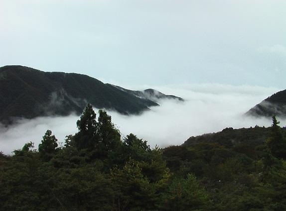 IMGA0110.JPG