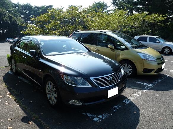 P1130587.JPG