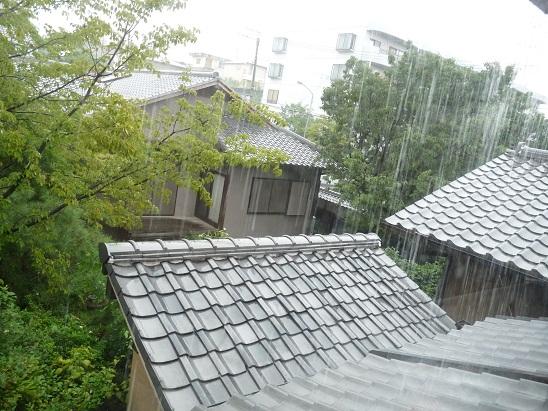 P1180510.jpg