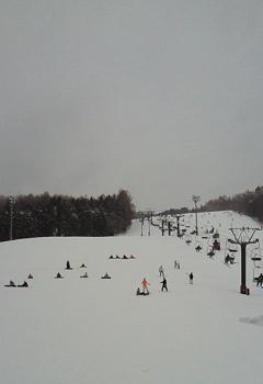 201102111344001.jpg
