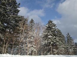 DSCF1078_e.jpg