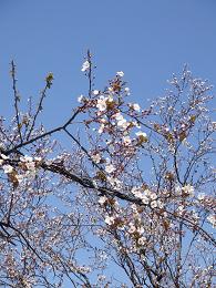DSCF1180_e.jpg