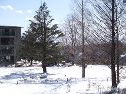 DSCF1793_e.jpg