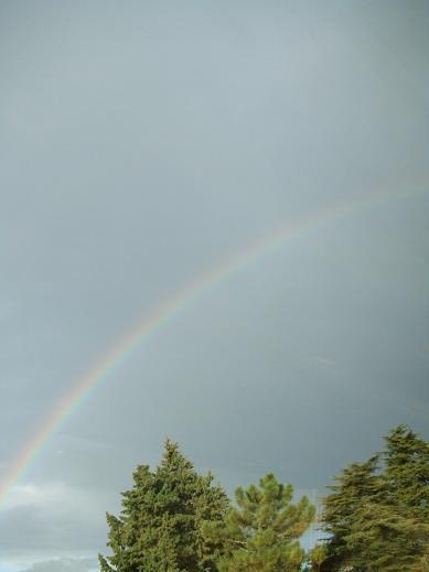 DSCF3135.JPG